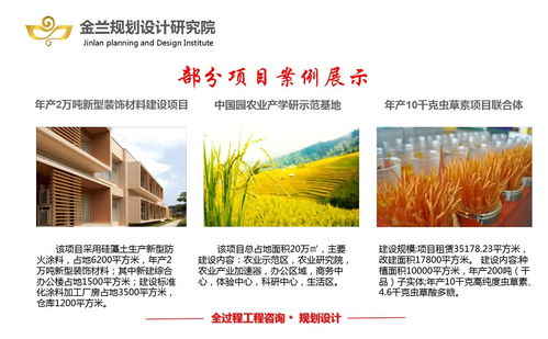 乳山旅游開發項目策劃咨詢 粉煤灰與煤矸石資源化利用的創新規劃