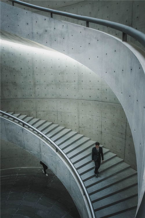 安藤忠雄光影巡禮 解鎖建筑之旅，重塑旅行體驗(yàn)